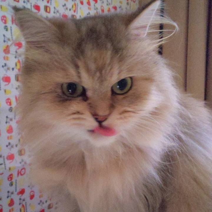 562a80f8 efd1 4a7b acb9 001983b328de 1693262920427