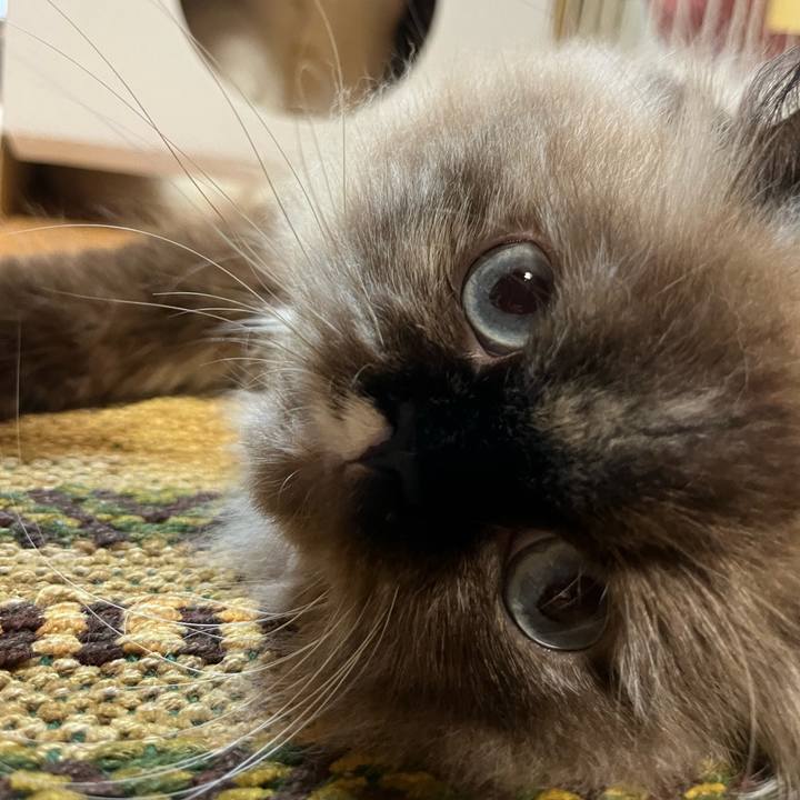 562a9e7f 9cec 4eee 8a31 dd9c536f2e3a 1663946713004