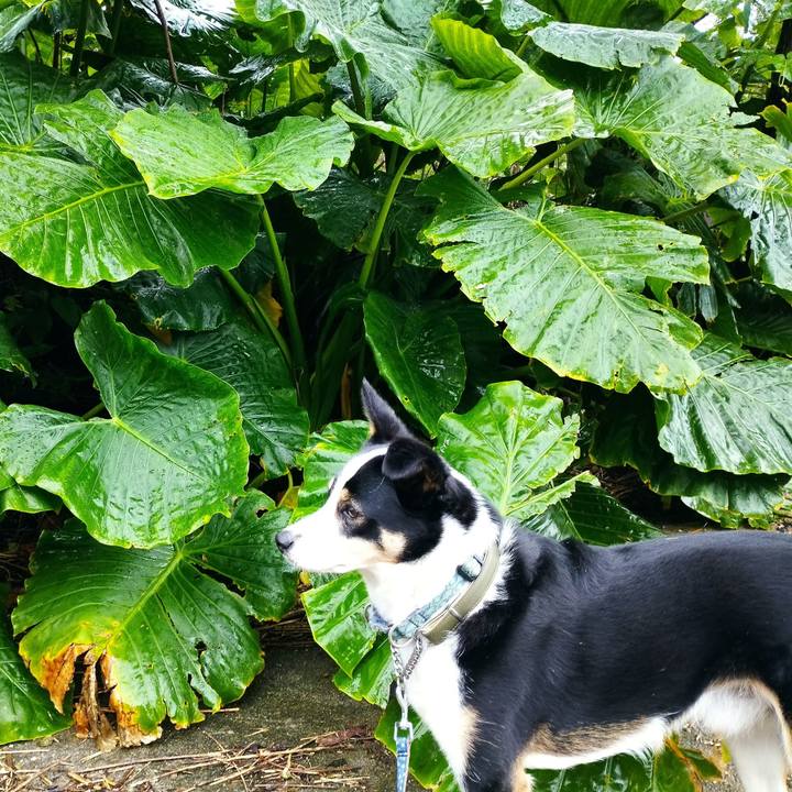 562aa49a 5117 4fb2 bcf3 82349cc75e24 1680360176652