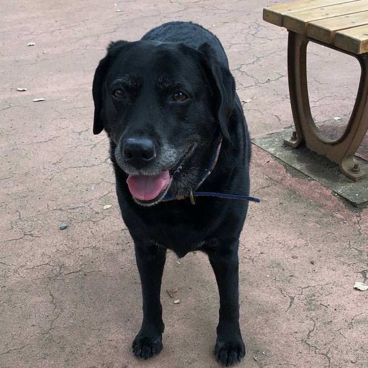 562b1c25 5bbd 4209 92b0 0f0a43ff01c5 1555808751330