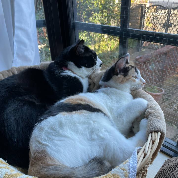 562b359c a957 4b0a 9c3a d2f5d767355c 1671425085407