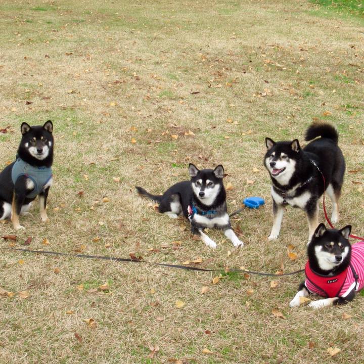 562b5cb8 0d5a 417a 9740 6f23b2fa81ad 1576105978810