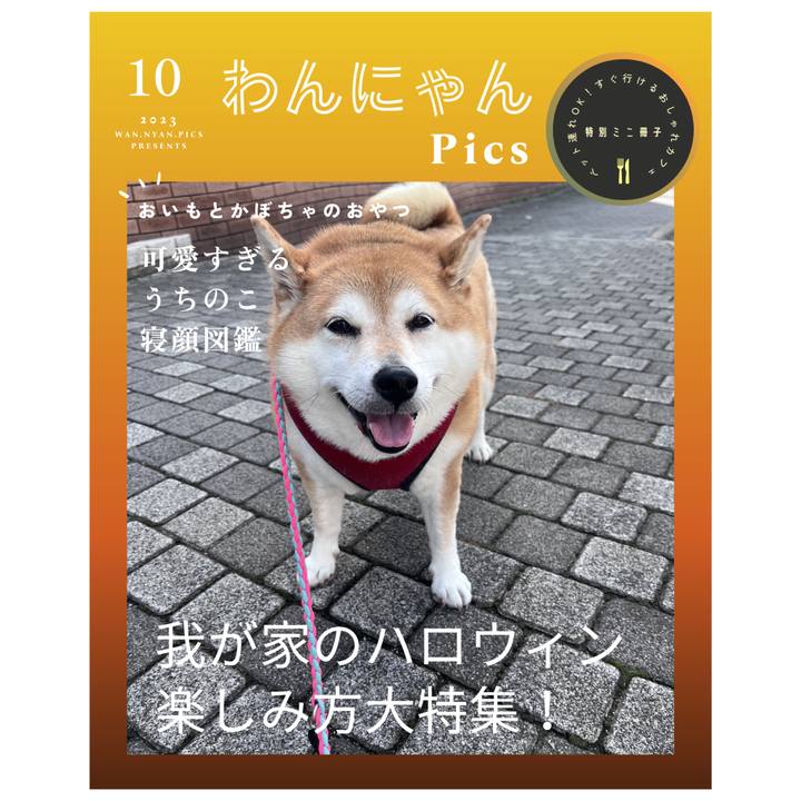 562b5da5 8741 47c2 9e91 7f6c675bc15e 1697755396536