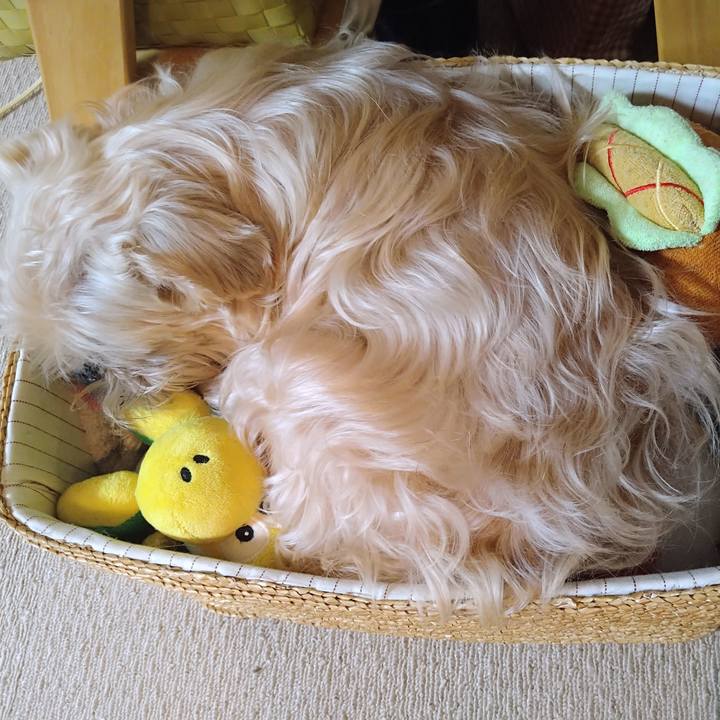 562b67de aa9a 48ee 96d2 fc86839c5f6b 1649163366379