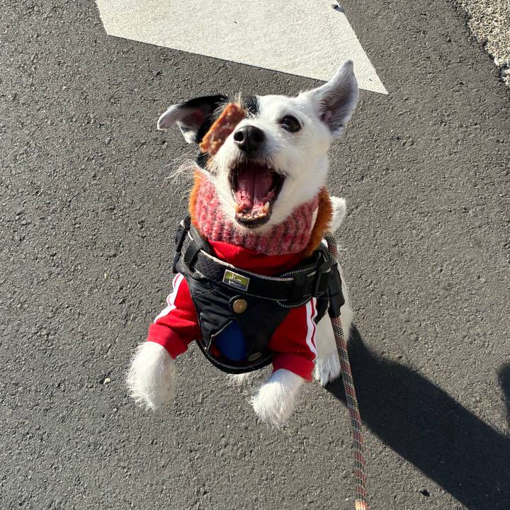 562b6c9b c654 4be6 ad5d 2e699aefe5a2 1769904952268