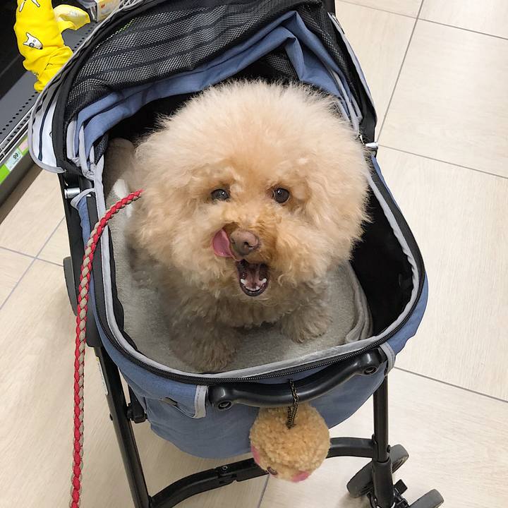 562b70ac 4c06 4501 8aad 7a25e6fe93b1 1526791755955