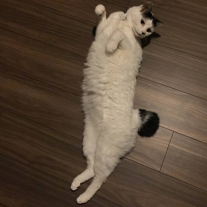 562b8b26 5d67 41f7 b6d2 2c2d79cde28c 1517229903558