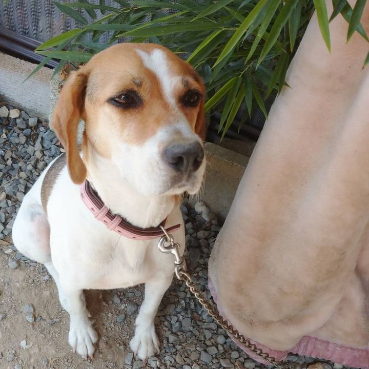 562bb25c ddbc 4a0e 88a6 893aee7dc6d7 1598169338874