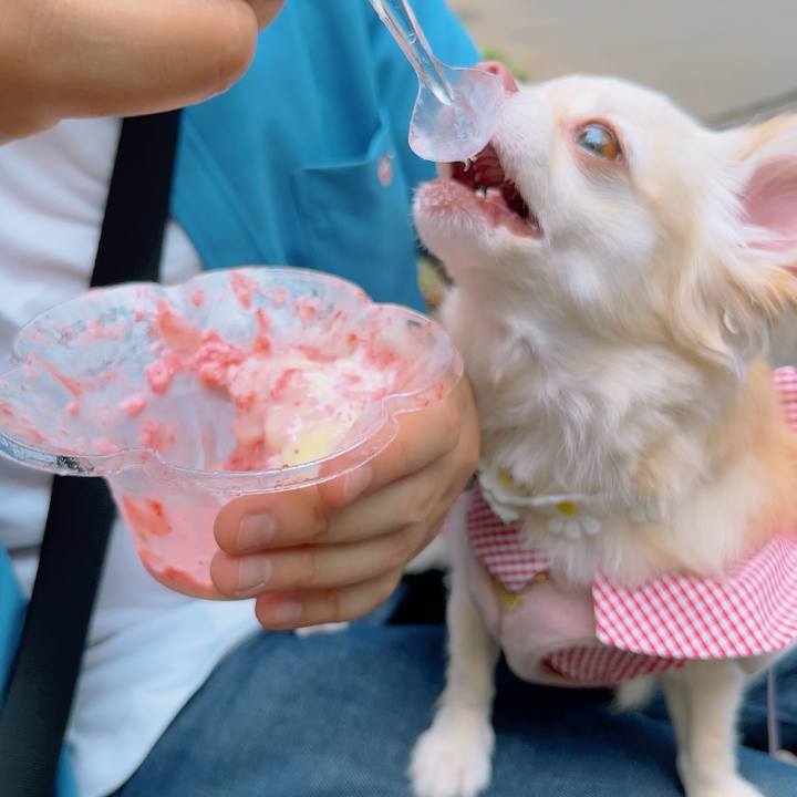 562bb8f2 ed38 41a9 97f1 9cfc04a8c87b 1694427464192