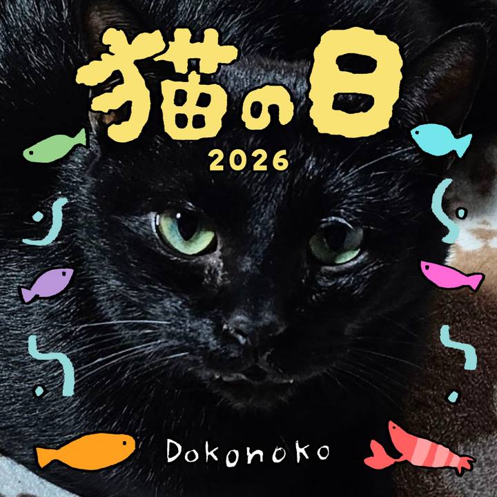 562bdd59 c05e 4505 9553 2b5ad2a33bab 1771763610106