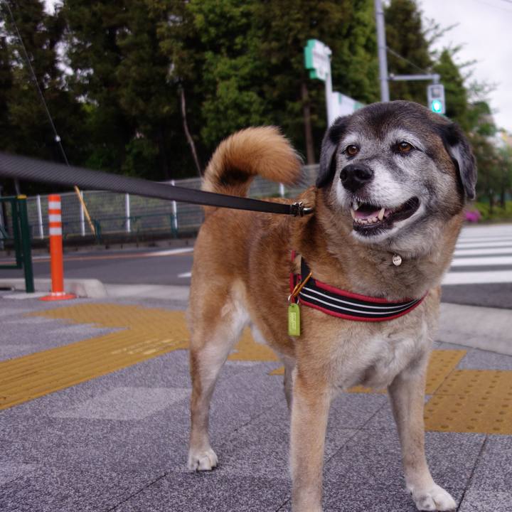 562c12f4 c778 4424 89f9 2fe28e2e88cc 1556757987961