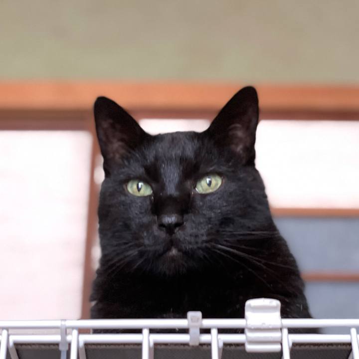 562c3cfd 0823 49c0 9cd0 ac415c7e8be2 1619834199472