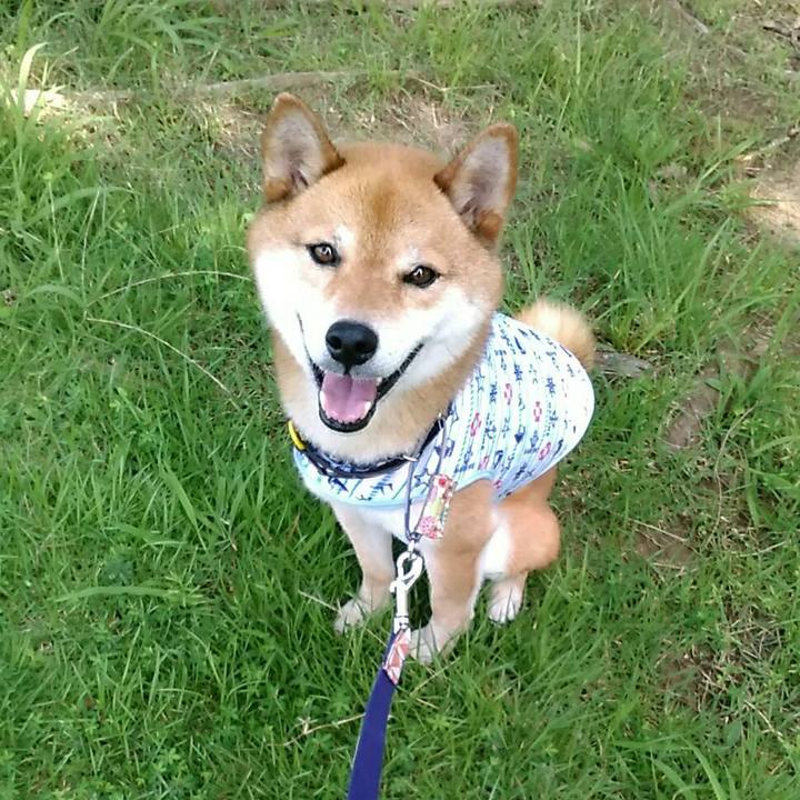 562c4032 b331 4d15 8a8a 159e80945d3e 1564544285827