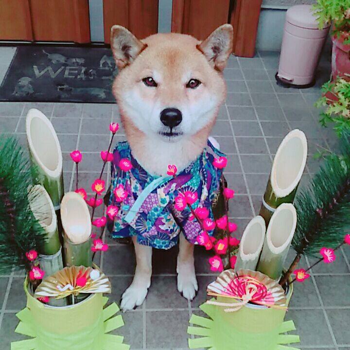 562c63f0 2279 4a0e af02 74db1a953be5 1578449924821