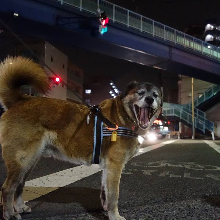 562c70ed ebe6 44b2 a4c7 0ea4008a0c44 1521812624290