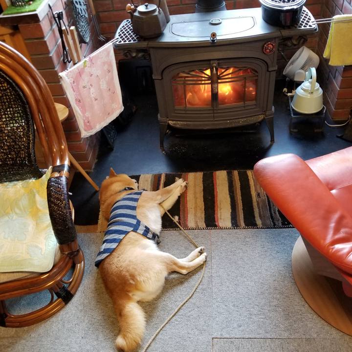 562c7e2f 5056 4810 b489 aa226ecfb149 1577576647673