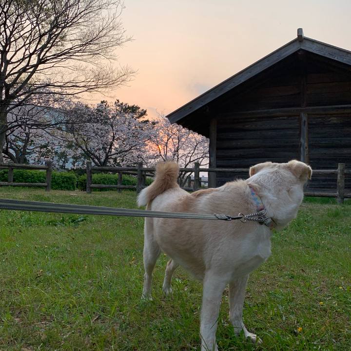 562c8543 a901 4fa4 9b85 a29408b7159f 1554641831394