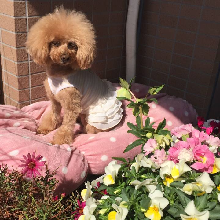 562cc56f c7f1 4408 9298 9ae0102a8bcf 1520167843145