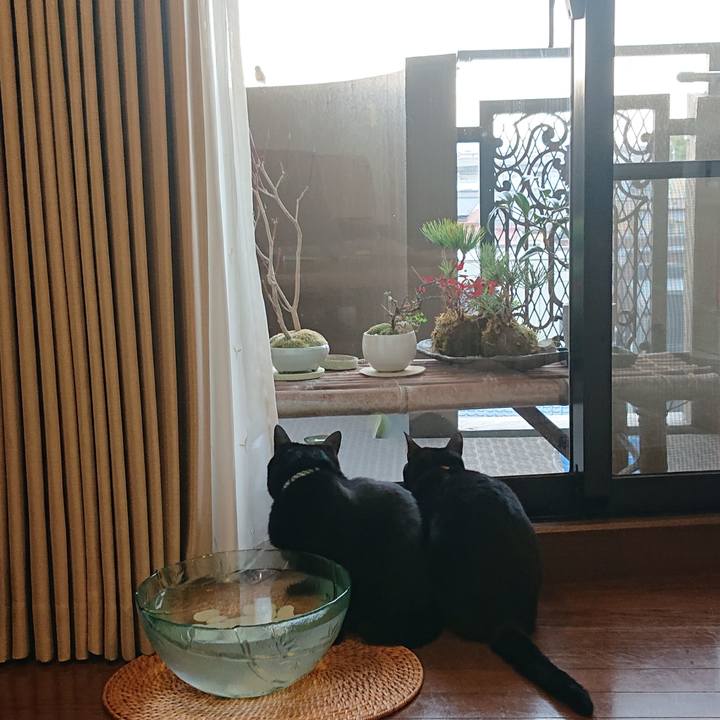 562cd911 cef4 4ebf af27 910821498f60 1550280862990