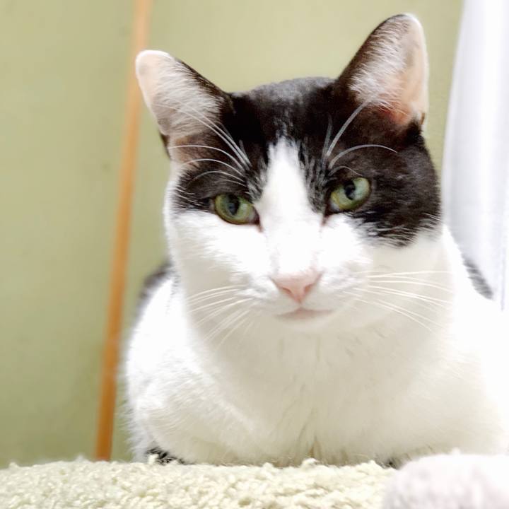 562d02c9 4cf5 4dad 89f6 969ca29ffa4b 1552357793979