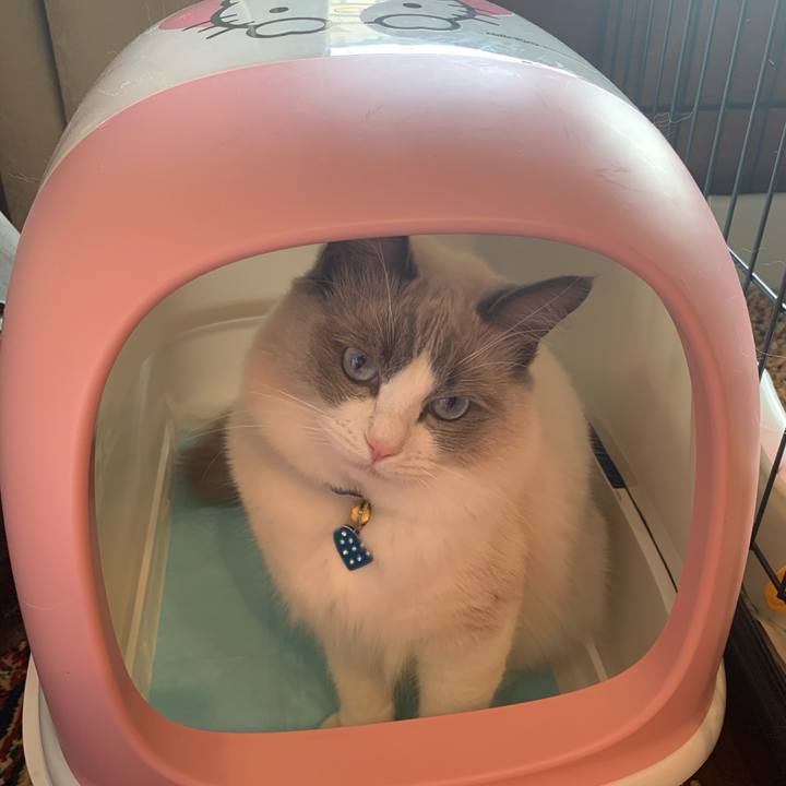 562d4b34 4d9d 4963 b885 6391eb0a8f11 1637283634016