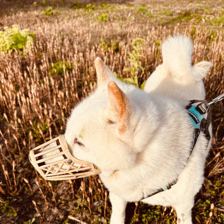 562d50fb 589d 4794 b748 87a320ba0cff 1746136497069