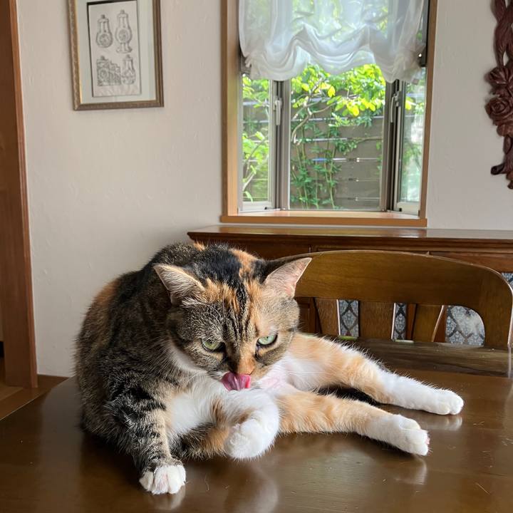 562d5141 aaa3 48a2 b9cd 3a57c8c08c8d 1759119539254