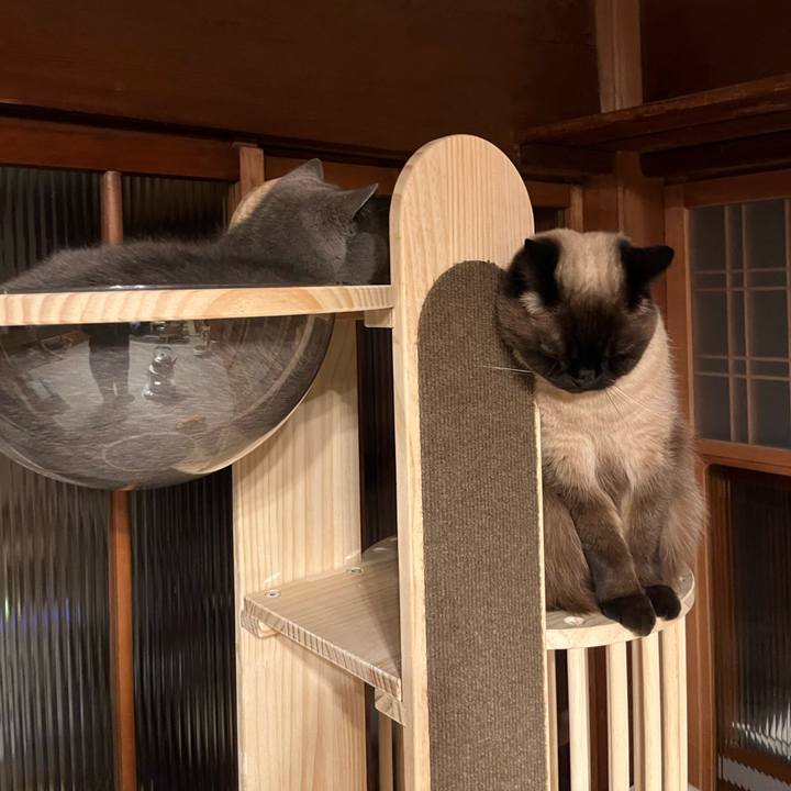 562d850a 48c2 420b 9b1e 29e90a91d5d0 1710375037927