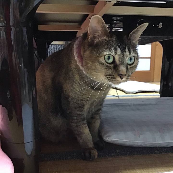 562d8513 c139 453f bb81 51d207876709 1692534250799