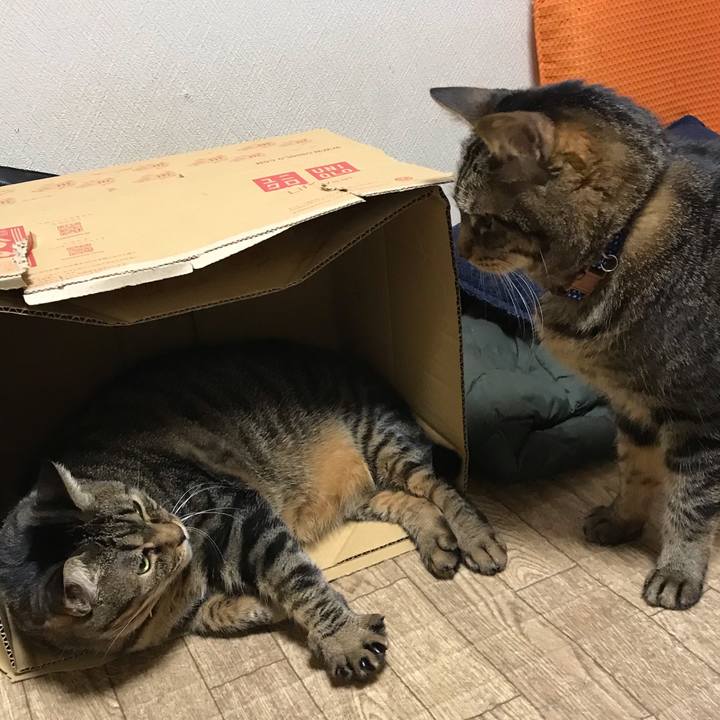 562db41c b399 4d4f adb6 cc172445a5ca 1642427042480