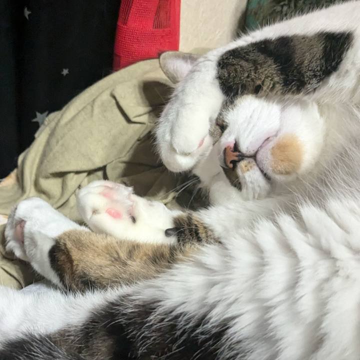 562db5fd cb7f 4121 b6f7 3e0a312aacd3 1730029911306