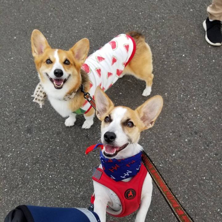 562e4ee9 3f60 4e67 91fe 2ccdf96f2afc 1566400619471