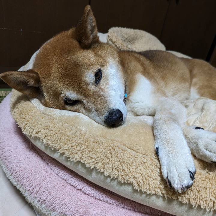 562e7427 9825 4948 bfb7 aeacb1559666 1716562300306