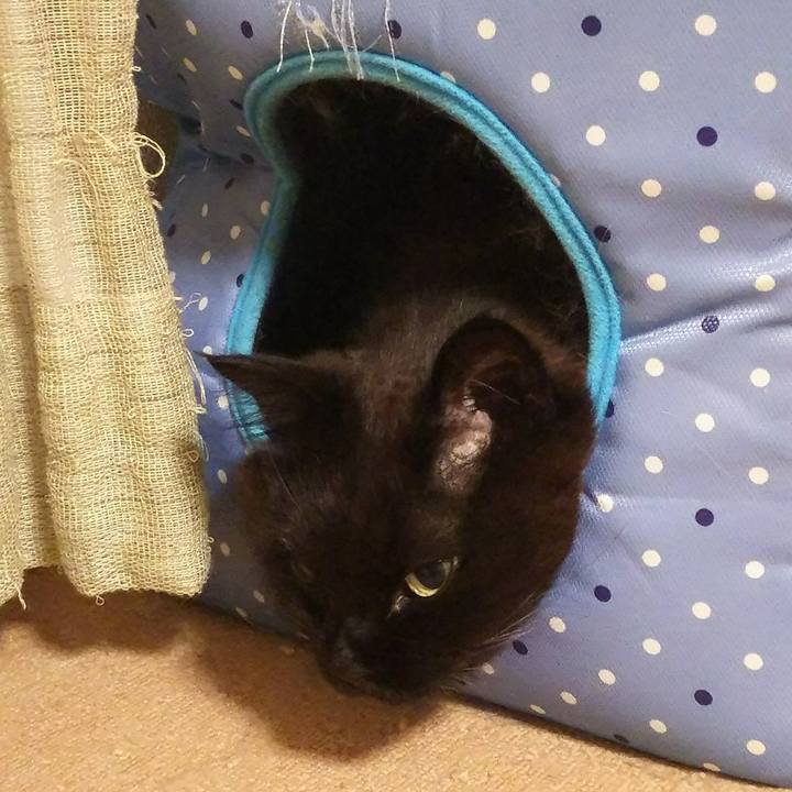 562e767b e267 4867 94e7 bf473694a30c 1522158825159