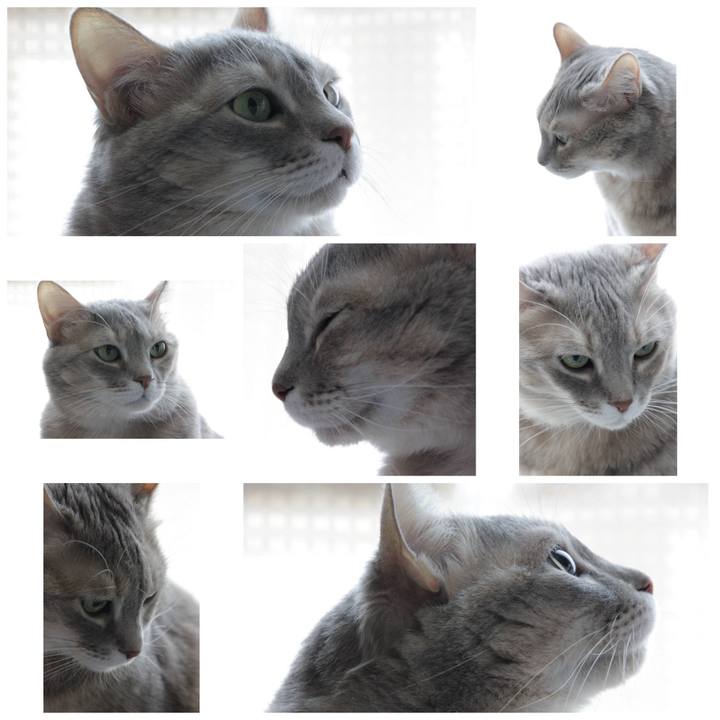 562e89c0 a57e 4101 8b5a 1c9f0546f04d 1639305406497