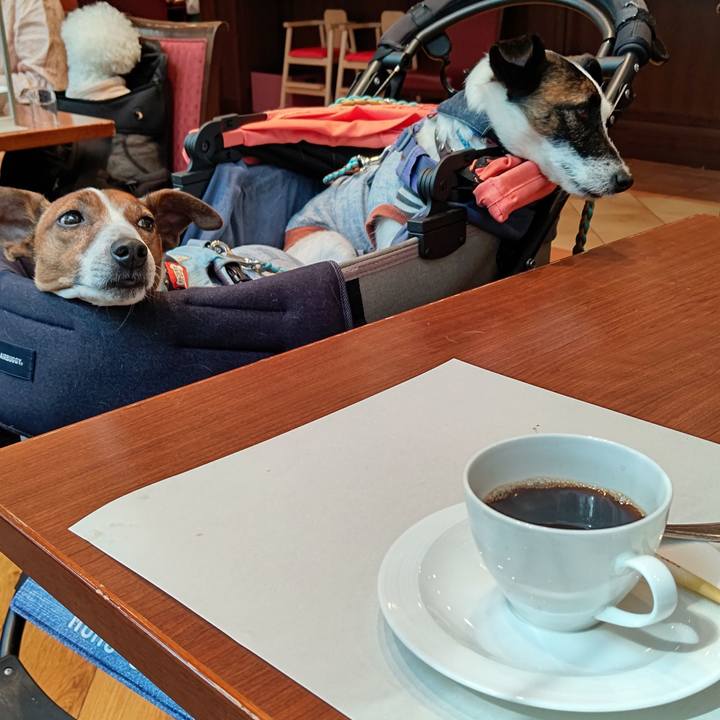 562f3499 402d 436d b3d3 94cdeea6eadf 1683102716981