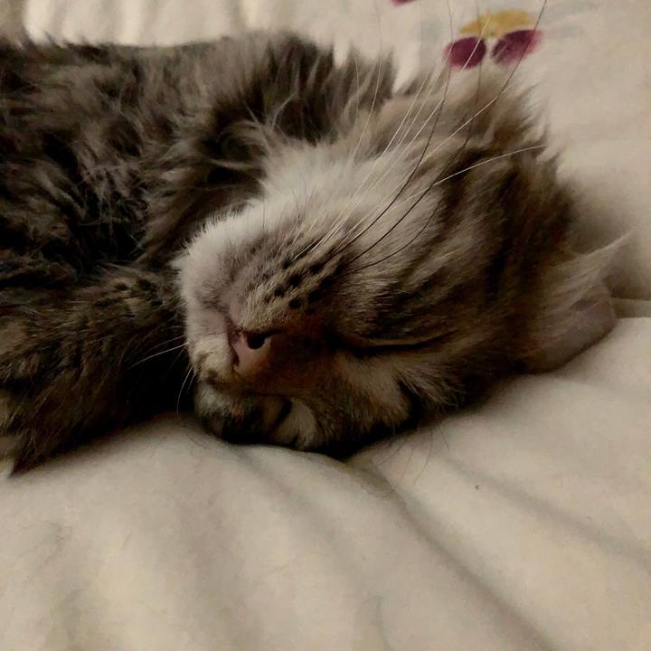 562f3801 d727 4d61 90be d3252e656808 1527234461479