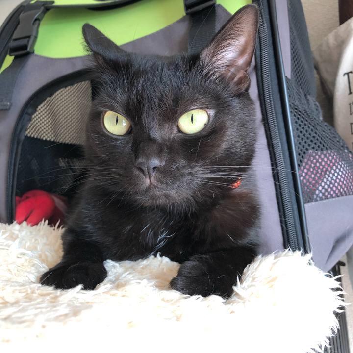 562f5310 4dbf 4d6c bcb0 5d71e3b9177b 1569202768008