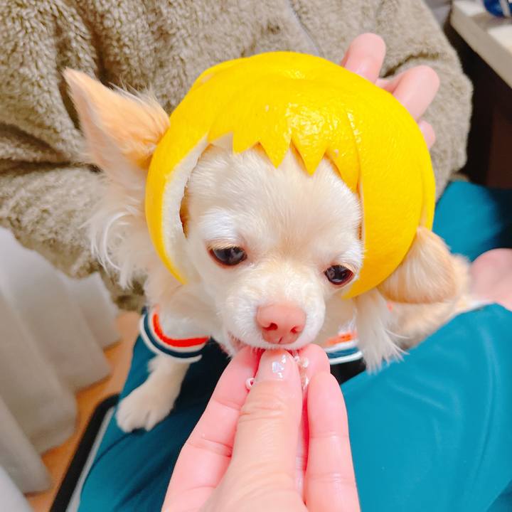 562f8064 26af 4fe3 a606 d1be3f8bd79f 1647951095976