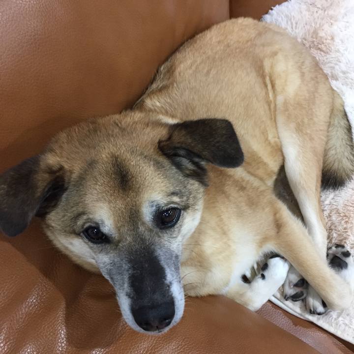 562f83c1 eb3c 49f4 8833 4f5bb4eb60d6 1551873146222