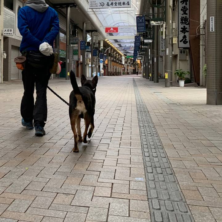 562fae89 8f5d 47b1 8cf6 d4d15c078448 1586052444735