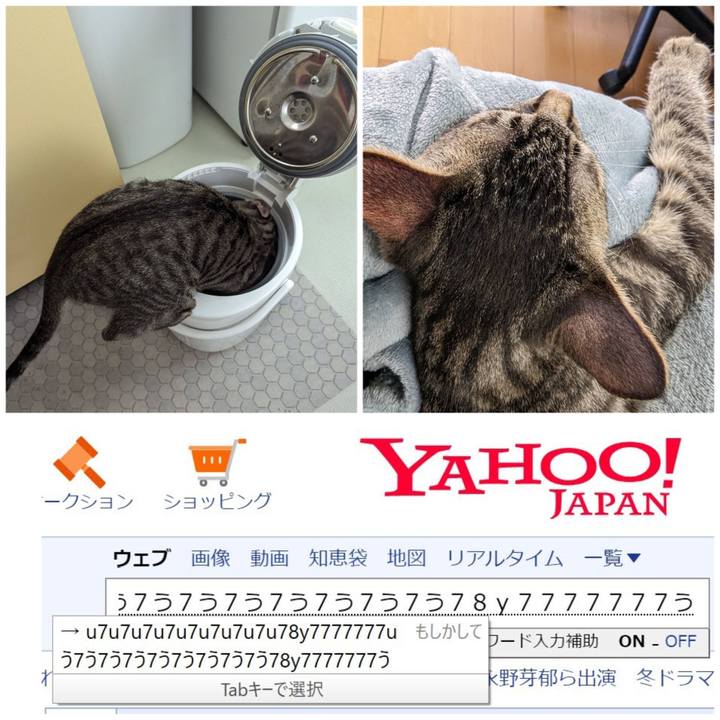 56305b94 a325 4299 a4db 3b5ac510345f 1707450451515