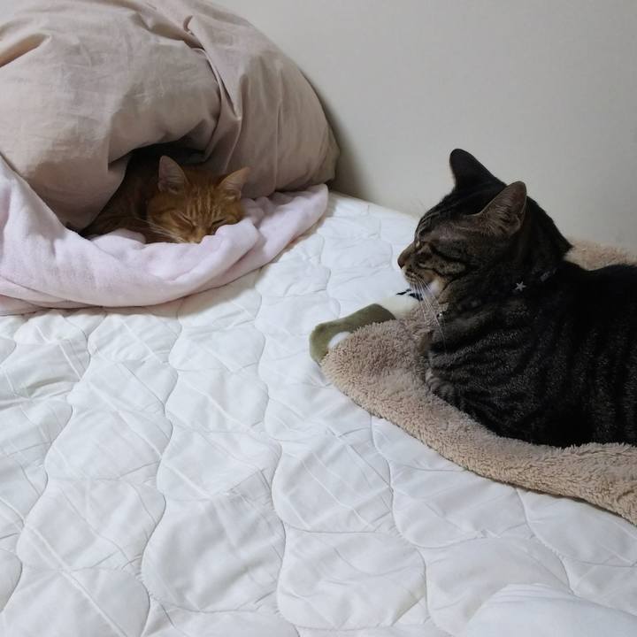 56309b73 65d5 4f08 bdb2 1ece2fcb0649 1535555374148