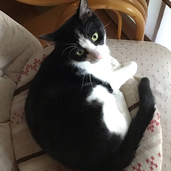 5630f0c2 93fa 4cc2 bcd2 dc9136c81366 1688734894694