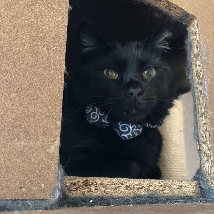 5631021a d737 483b ab70 d64c585f1b5b 1557104310972