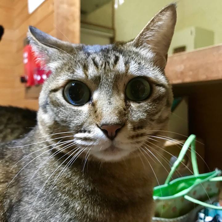 563124c0 ebab 46e9 ab2c db0f806ea237 1519045290521