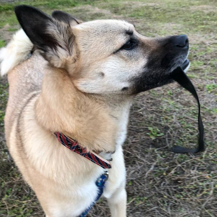 5631334c 843a 4568 9898 f24cb756602a 1522407807173