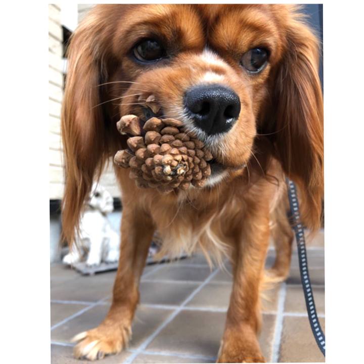 56317ed4 0bfc 4a85 a795 427e57f56e48 1551523383697