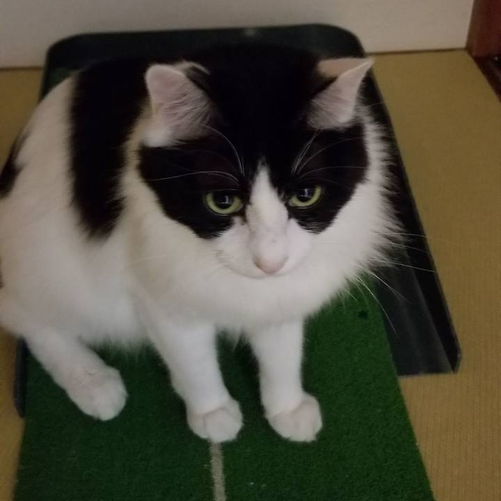 5631a9c6 1895 4d16 8563 e98bf65d8288 1543678718988