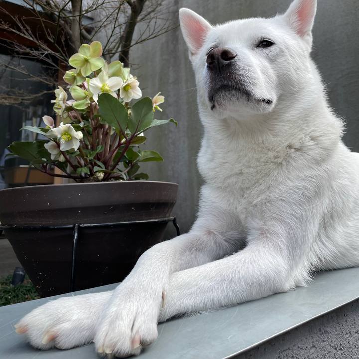 5631b37a c52a 40ec 998c 7a7d96c79905 1611829217260